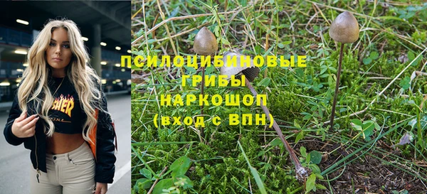 тгк Балахна
