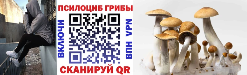 Галлюциногенные грибы ЛСД  Будённовск 